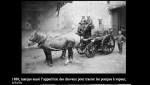 -chevaux tracter pompes a vapeur 1888