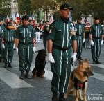guy-henry-lors-d-une-ceremonie-photo-du-republicain-lorrain-rl-1474633945