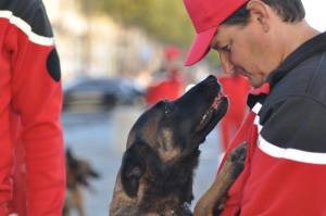 photo-baudoin-bougard-14435329_10208601740134805_3609039093561839728_o